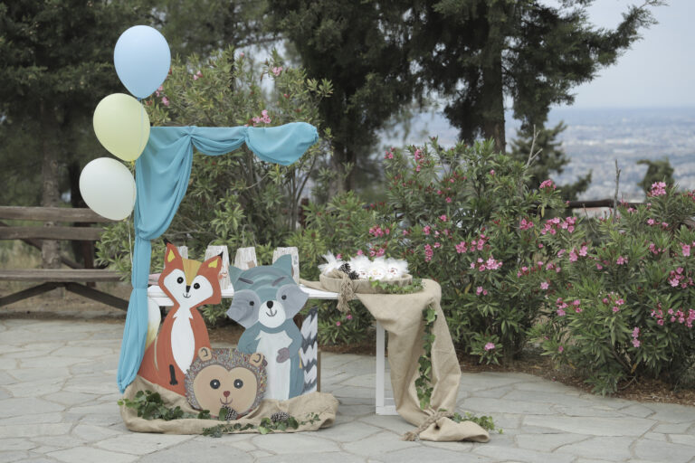 ΒΑΠΤΙΣΗ ΖΩΑ ΤΟΥ ΔΑΣΟΥΣ