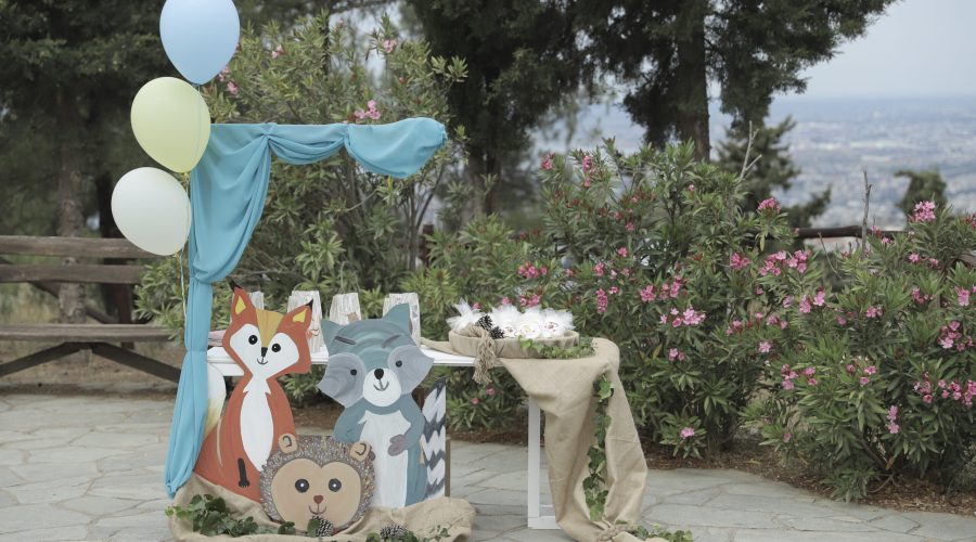 ΒΑΠΤΙΣΗ ΖΩΑ ΤΟΥ ΔΑΣΟΥΣ